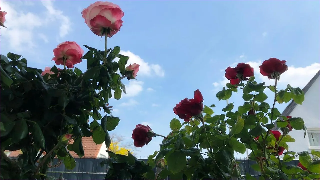 Exclusive Airport Apartment Kelsterbach 0*,